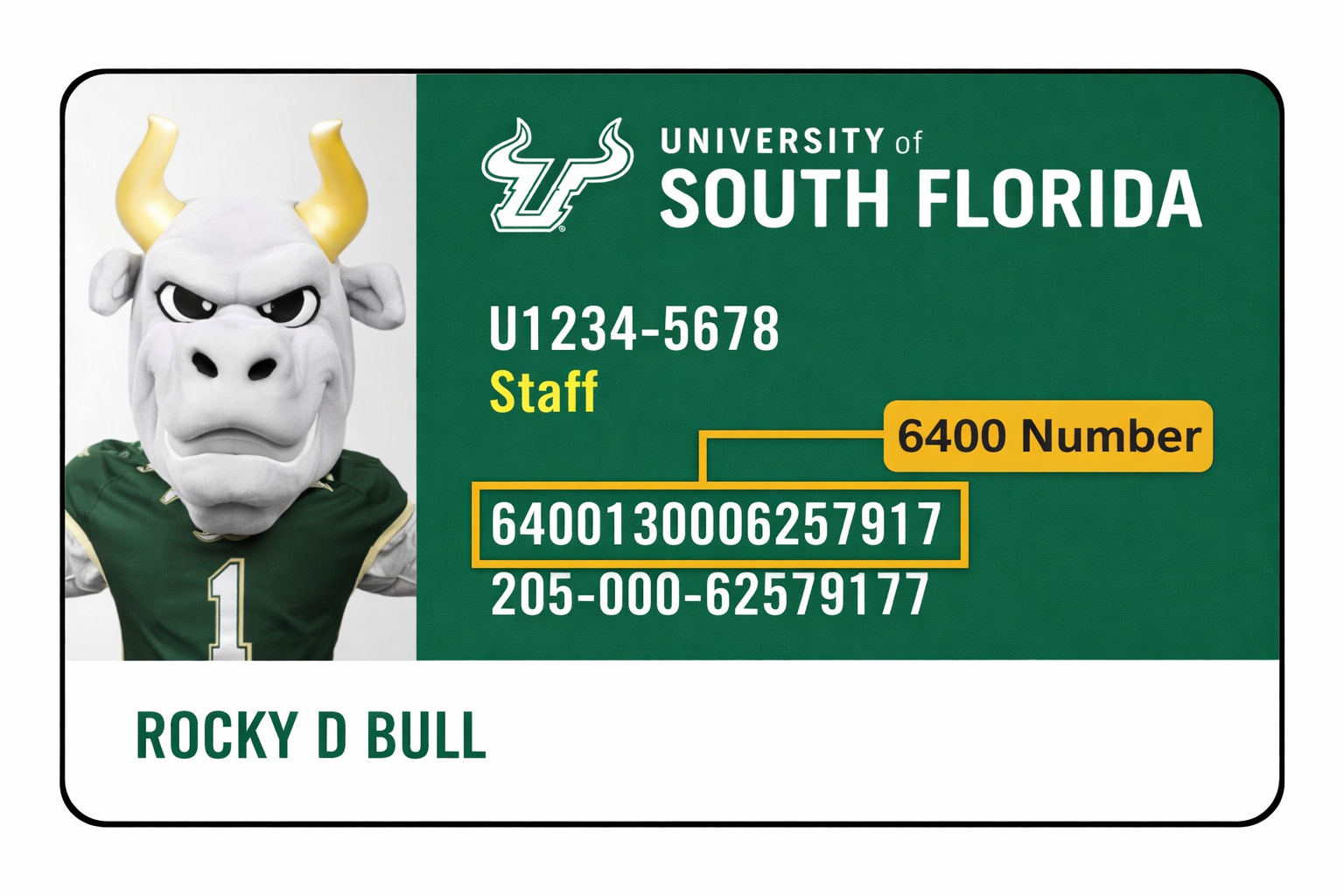 USF ID Card showing where to find the 16-digit card number starting ...